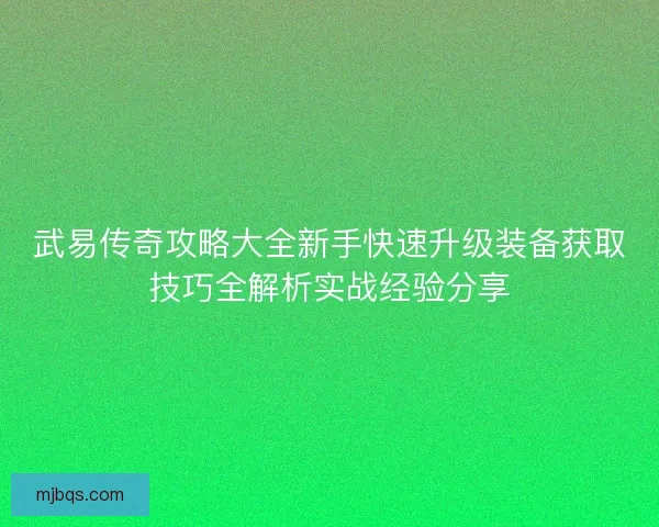 武易传奇攻略大全新手快速升级装备获取技巧全解析实战经验分享